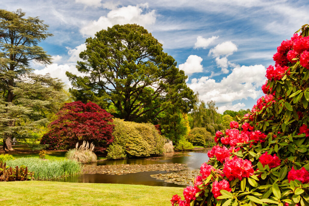 The beautiful Sheffield Park in East Sussex in England