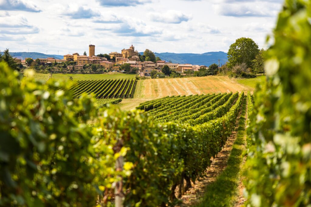 Medieval village of Oingt built in golden stones typical of this region of Beaujolais from the surrounding vineyards