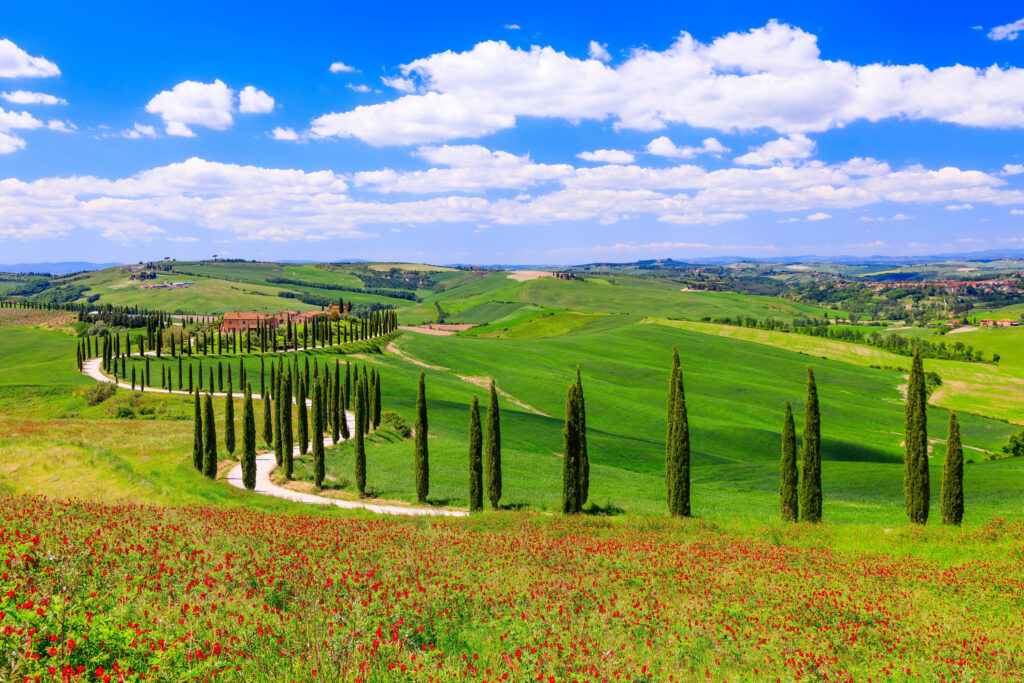 Asciano, Italy. Typical landscape of Val d'Orcia.