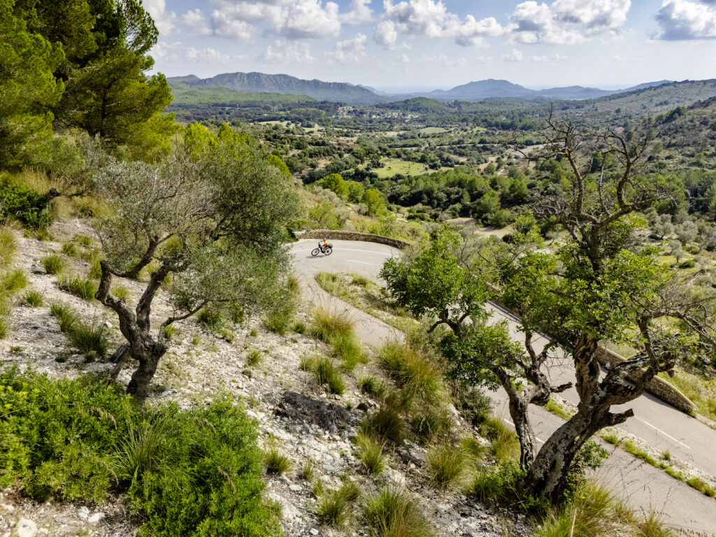 Strasse von Artà nach Ermita de Betlem eremita
